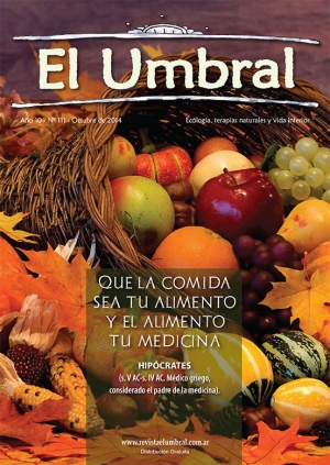 El Umbral Nº 111