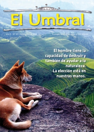 El Umbral Nº 101