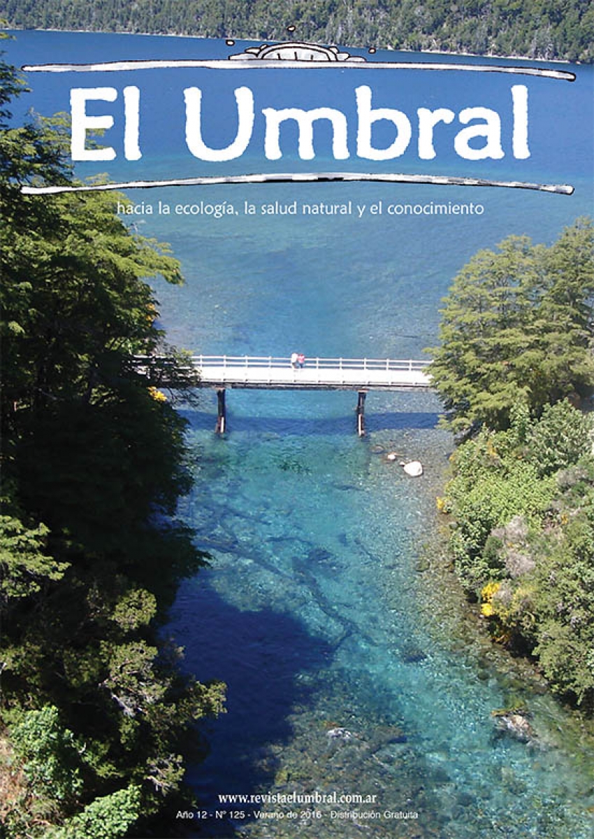El Umbral Nº 125