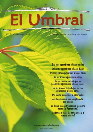 El Umbral Nº 84