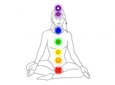 Equilibrando los siete chakras con hierbas y plantas.